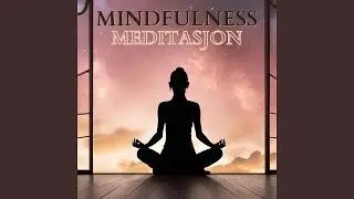 Mindfulness Meditasjon