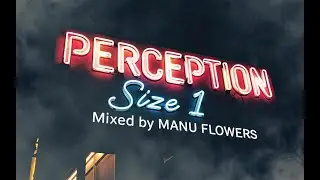 PERCEPTION Size 1 Mixed by MANU FLOWERS (2018)