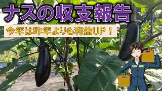 【ナスの収支報告】ナス泥棒がいなくなった分、売上上がったぜ！ww