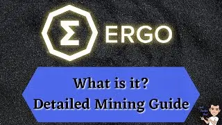 Ergo Coin | What is it and detailed mining guide!