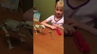 Dino Dig Kit