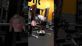 Smith Machine Rows Proper Form