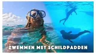 NAAR KLEIN CURA&Ccedil;AO 🇨🇼🏝️ JETSKI TOUR NAAR DE BLAUWE KAMER 🧜🏽&zwj;♀️ LEGUAAN ETEN 🦎 // weekvlog 64