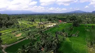 Традиционный экологический отдых De Klumpu Bali | Бали, Индонезия | Обзор отеля 🏩