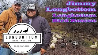 Longbottom Bird Rescue: Saving Domestic Waterfowl in Cincinnati, Ohio | 2H2F Ep 177