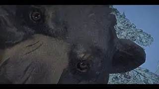 The Long Dark - End game - Dead by Bear