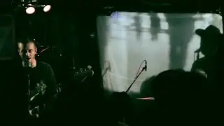 Dogs On Acid - The Prick