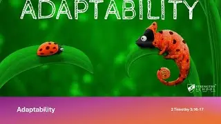 Adaptability