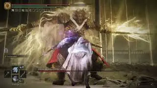 NG7+ Consort Parry Wing of Astel Mix 01