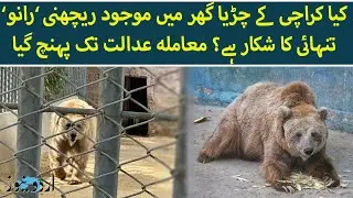 Female Bear &lsquo;Rano&rsquo; at Karachi Zoo Faces Loneliness | Case Taken to Court