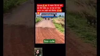 #radhakrishna #radheradhe #short #funny #viral #viralvideo #trending #youtubeshorts
