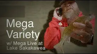Mega Variety w/ Mega Live at Lake Sakakawea