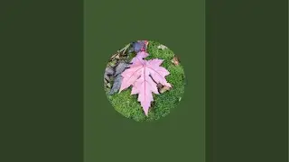 Canada13 is live!