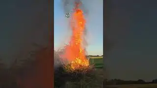 Solstice fire johanni Germany 2025 🔥🐦&zwj;🔥🌞