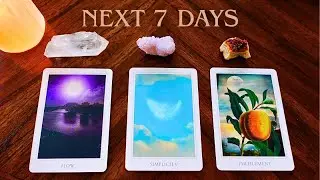 Guidance for the next 7 days✨Pick a Card✨