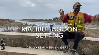 Understanding the Setting and Context of Malibu Lagoon