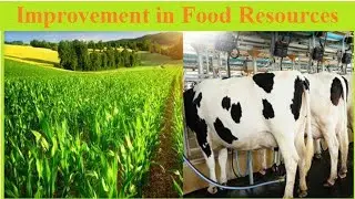 9th class biology 3rd chapter explanation in telugu improvement in food resources ncert part-1 