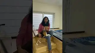 Inside Bangalore&rsquo;s First Pet Hotel | PET HOTEL | PET BOARDING| PET SPA | PET POOL | KORAMANGALA