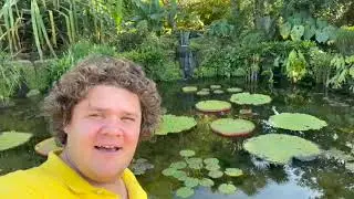 Nature walk Miami Coral Gables City Beautiful Florida jungle stories education environment 12627