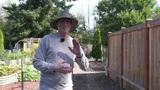 Rototill the Garden Path