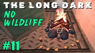 The Long Dark: No Wildlife Challenge: Ep 11 - Gather and Go