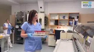 Labs Save Lives Project - Czech Republic