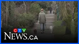 Vancouver&rsquo;s dog poop hotspots revealed