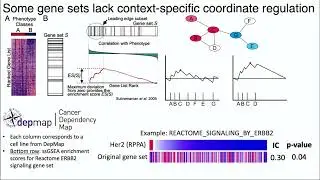 Data Driven Refinement of Gene Signatures for Enrichment Analysis & Cell State Characterization