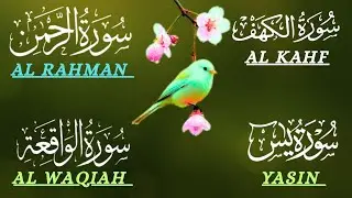 Surah Al-Kahf, Surah Yaseen, Surah Ar-Rahman & Surah Al-Waqiah |Beautiful Quran Recitation |Al Muqra