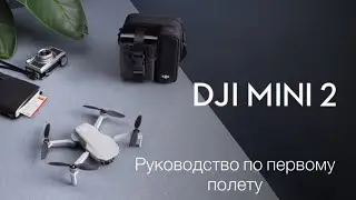DJI Mini 2 Инструкция для начинающих