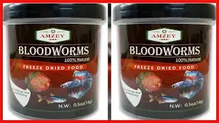 Blood Worms 0 5 oz  100% Natural Freeze Dried Blood Worms   Aquarium Fish Food   High Protein Food