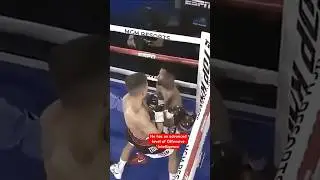 JESSE RODRIGUEZ BAM RISING STAR #boxing#highlights#knockout#viral