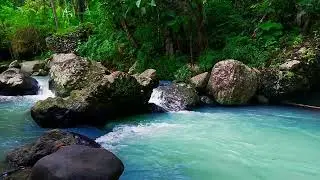 The Pretty River Ambiance - Nature's Vibe for Relaxation | sleep - relax - enjoy life - ASMR
