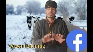 👉How to get more milk,and keep healthy your animals in winter💯#dairyfarming#trend