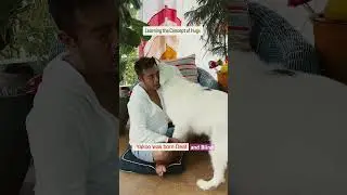 Deaf blind dog Yakoo learning hugs