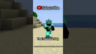 Какой биом океана в Minecraft ЛУЧШИЙ?