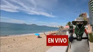 El Pulpo de Mazatlán (y de la CDMX) está en vivo