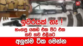 ඉවරයක් නෑ ! හංගපු යකඩ එක පිට එක තව තව එළියට - අලුත්ම ටික මෙන්න