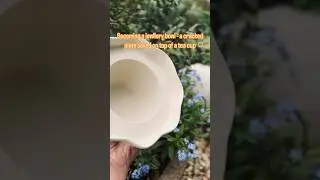 Trimming a jewellery bowl  #pottery #potteryprocess #trimming