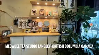 MEOWDEL TEA STUDIO | LANGLEY, BRITISH COLUMBIA CANADA | SILENT VLOG | MAIVERSION