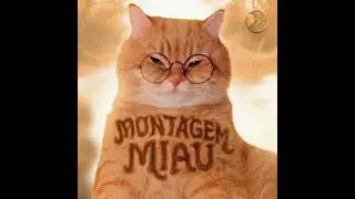 MONTAGEM MIAU 10 MINS