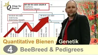 Pedigree und BeeBreed der Stammbaum von Bienenköniginnen in der Bienenzucht