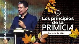 Los Principios de la Primicia, Pastor Enoc Ca&ntilde;as | 31 ENERO 2021