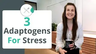 3 Adaptogens For Stress And Anxiety