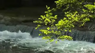 Sony FDR AX-33 video test