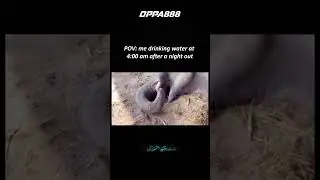 POV: me drinking water at 4am after a night out🤣🤣