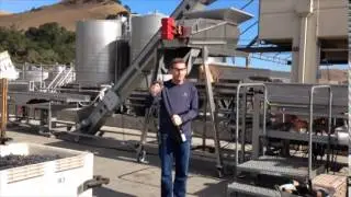 Artesa Vineyards & Winery - Harvest 2014