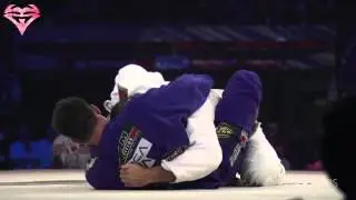 BJJ Highlights - Brazilian Jiu Jitsu 2012 - 2013