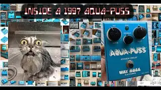 Pedal Builder REACTS! 1997 Way Huge Aqua Puss AP-1 Mk1 (Not AP-2 or MKII) Unboxing