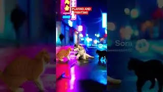 These cats are playing with dog! #catvsdog #catvideos #catshorts #usacats #cats #dogs